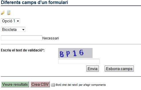 Exemple d'un formulari processat.